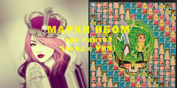 гашик Майский