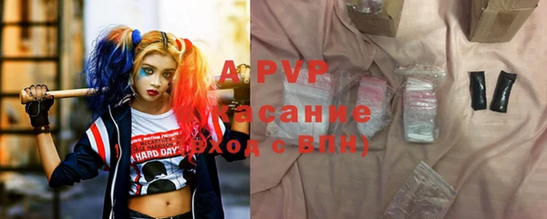 прущие грибы Липки