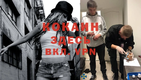 гашик Майский