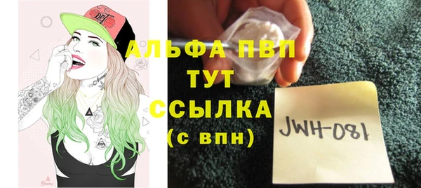 гашик Майский