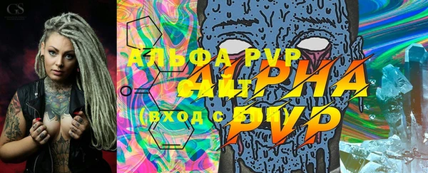 прущие грибы Липки