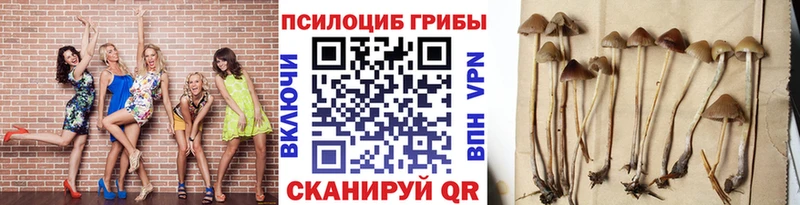 Псилоцибиновые грибы Magic Shrooms  Купить закладки  Венёв 